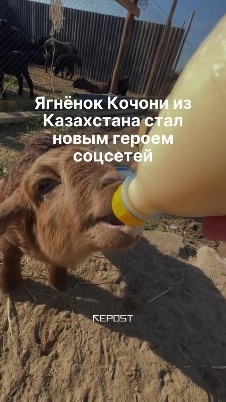 @Repost.uz
