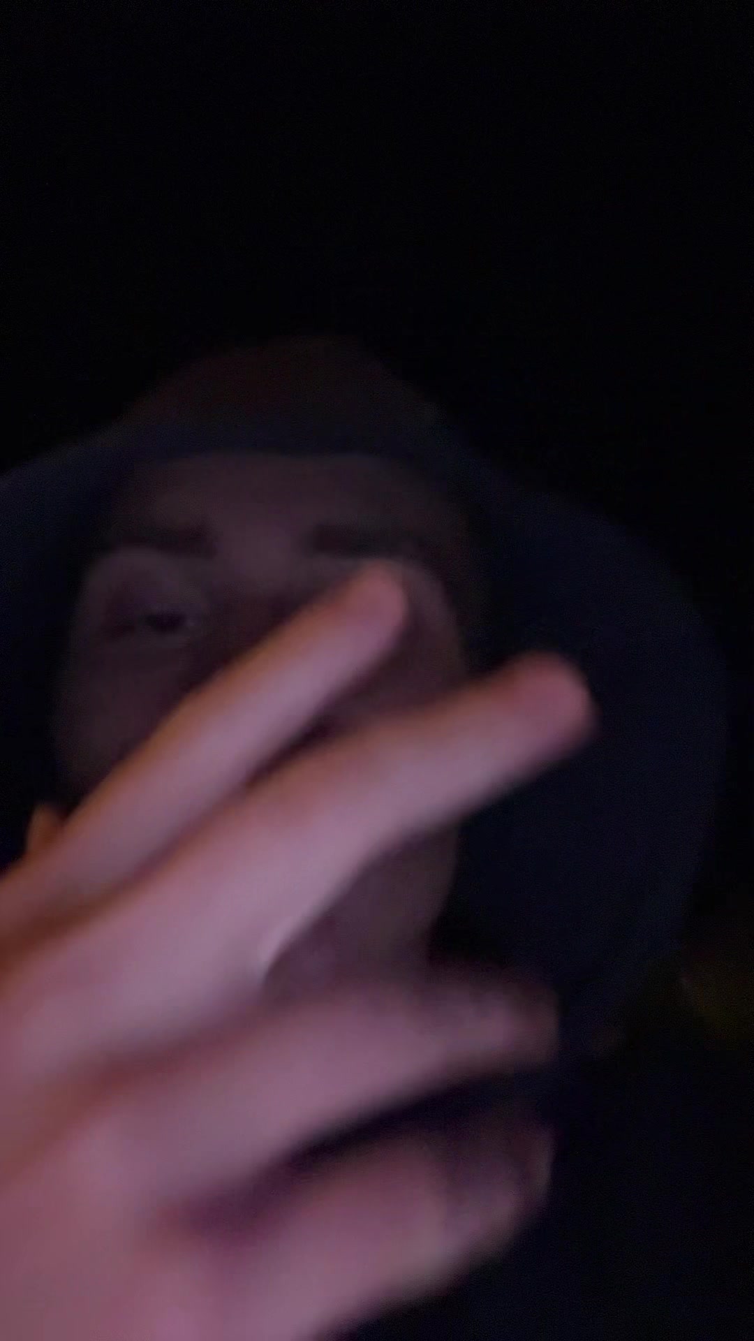 @petbratik