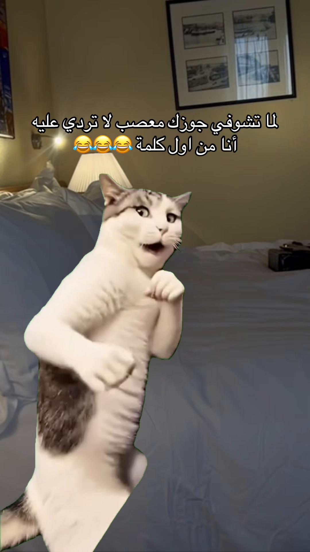 @๐R eps Mohamed๐