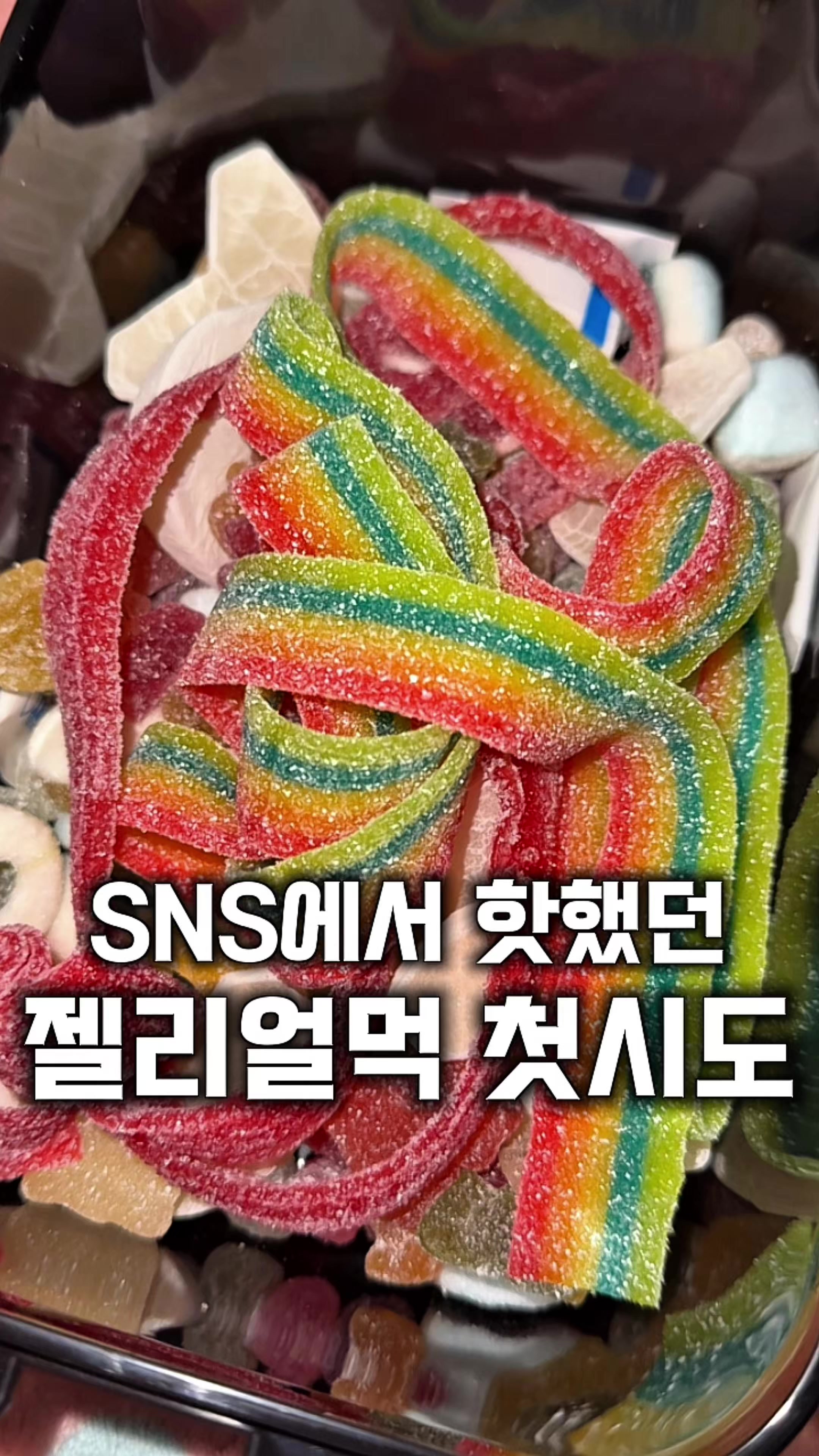 @먹보패밀리