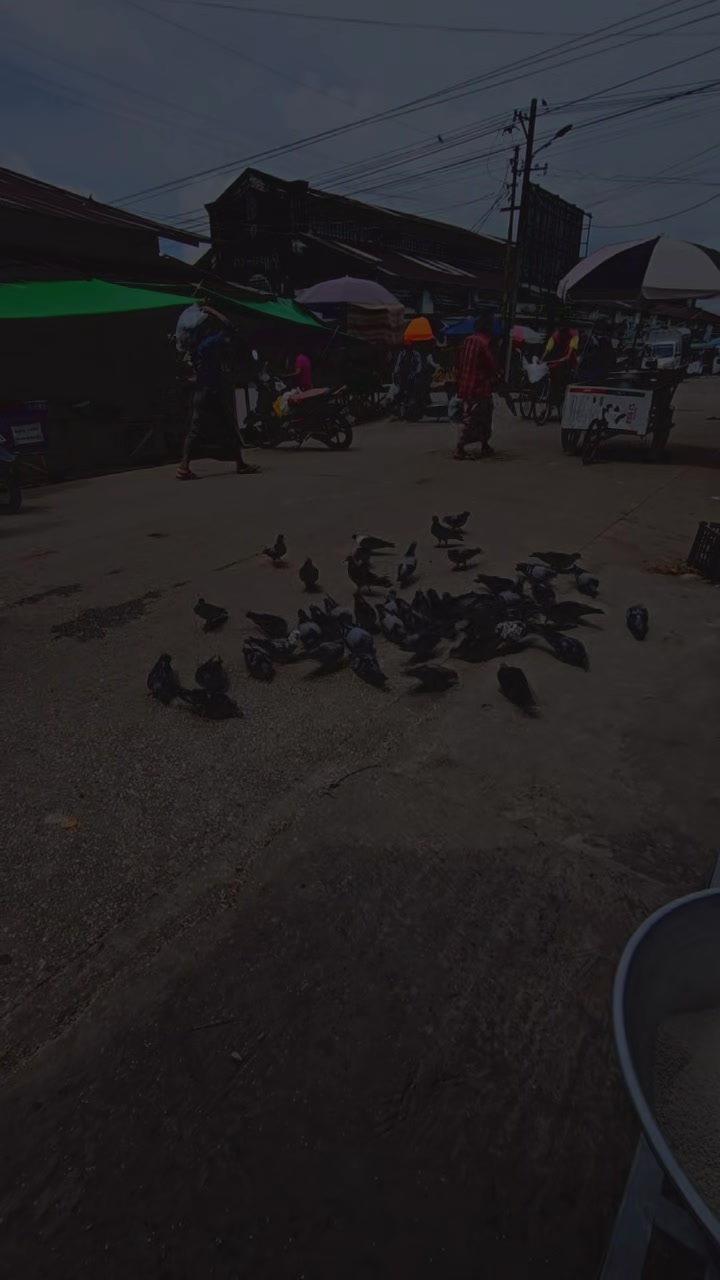 @KKK ဆန်ဆိုင်
