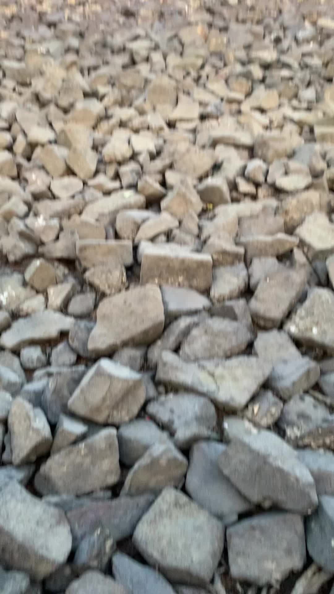 @Phi Vũ