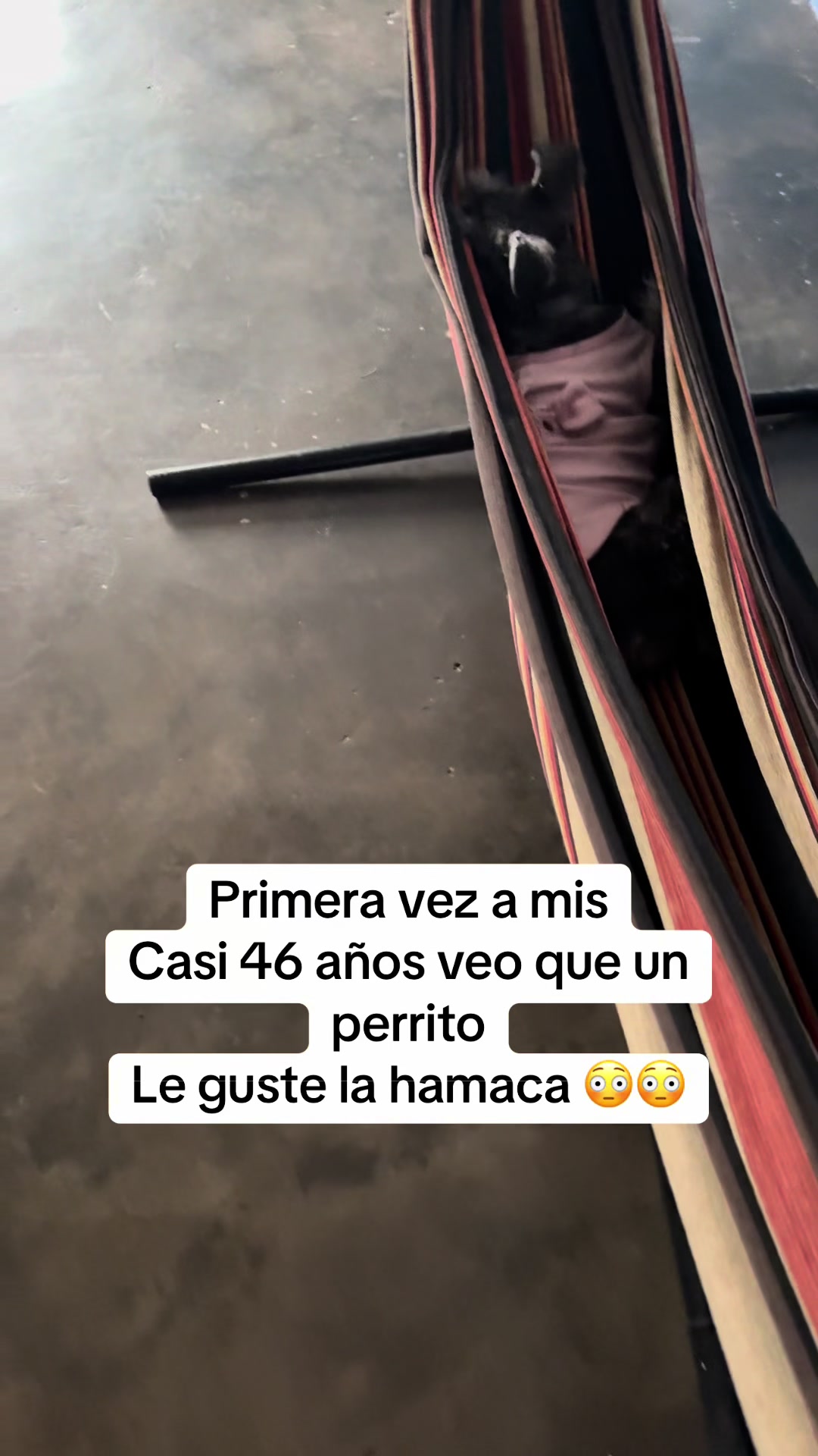 @marcelasilvaayala