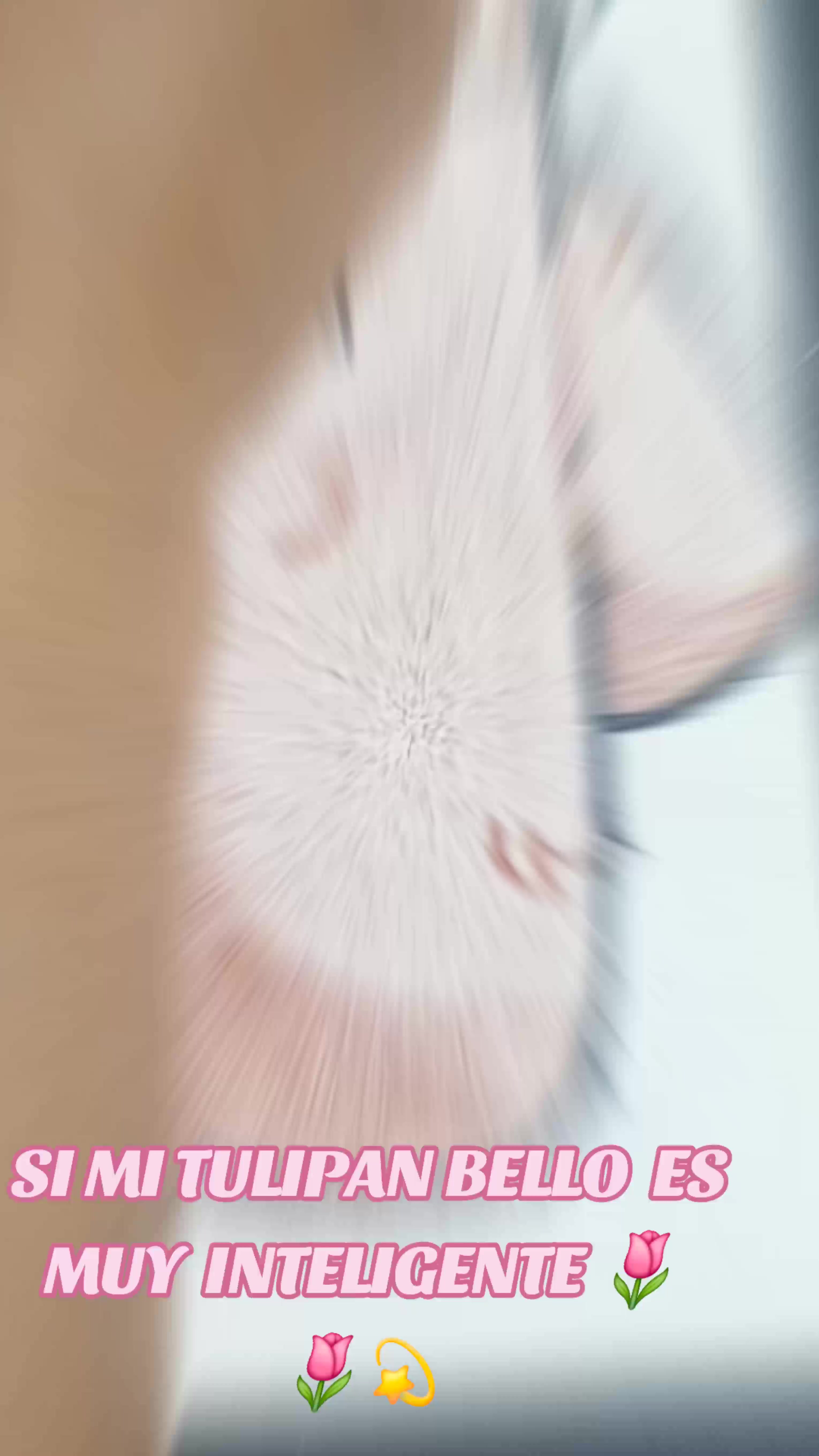 @KATA