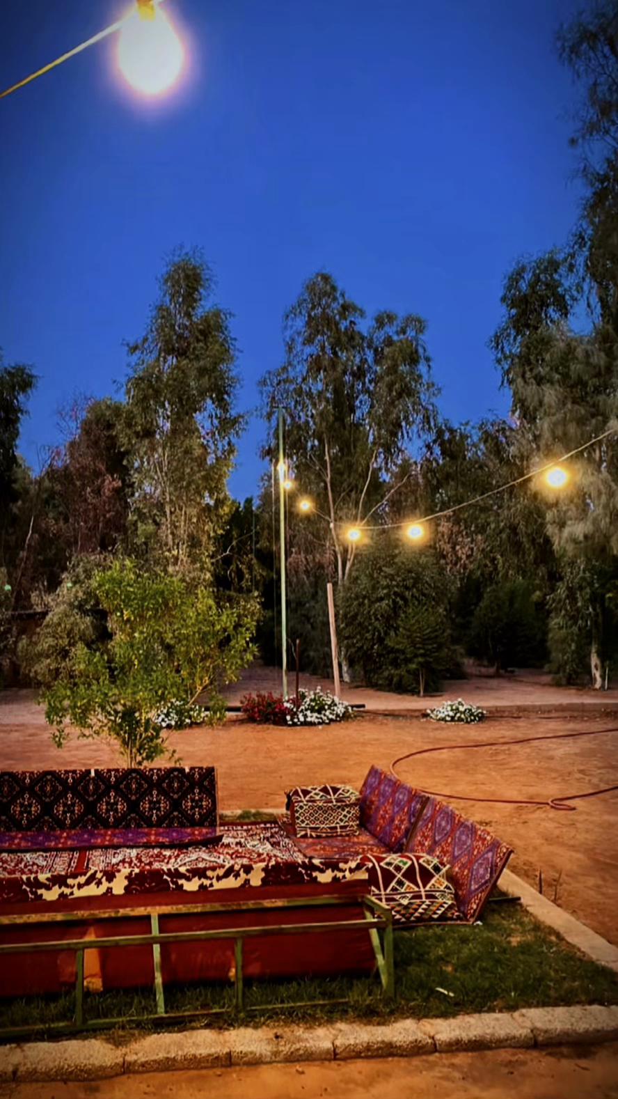 @✨ بودكاست سلمان ✨
