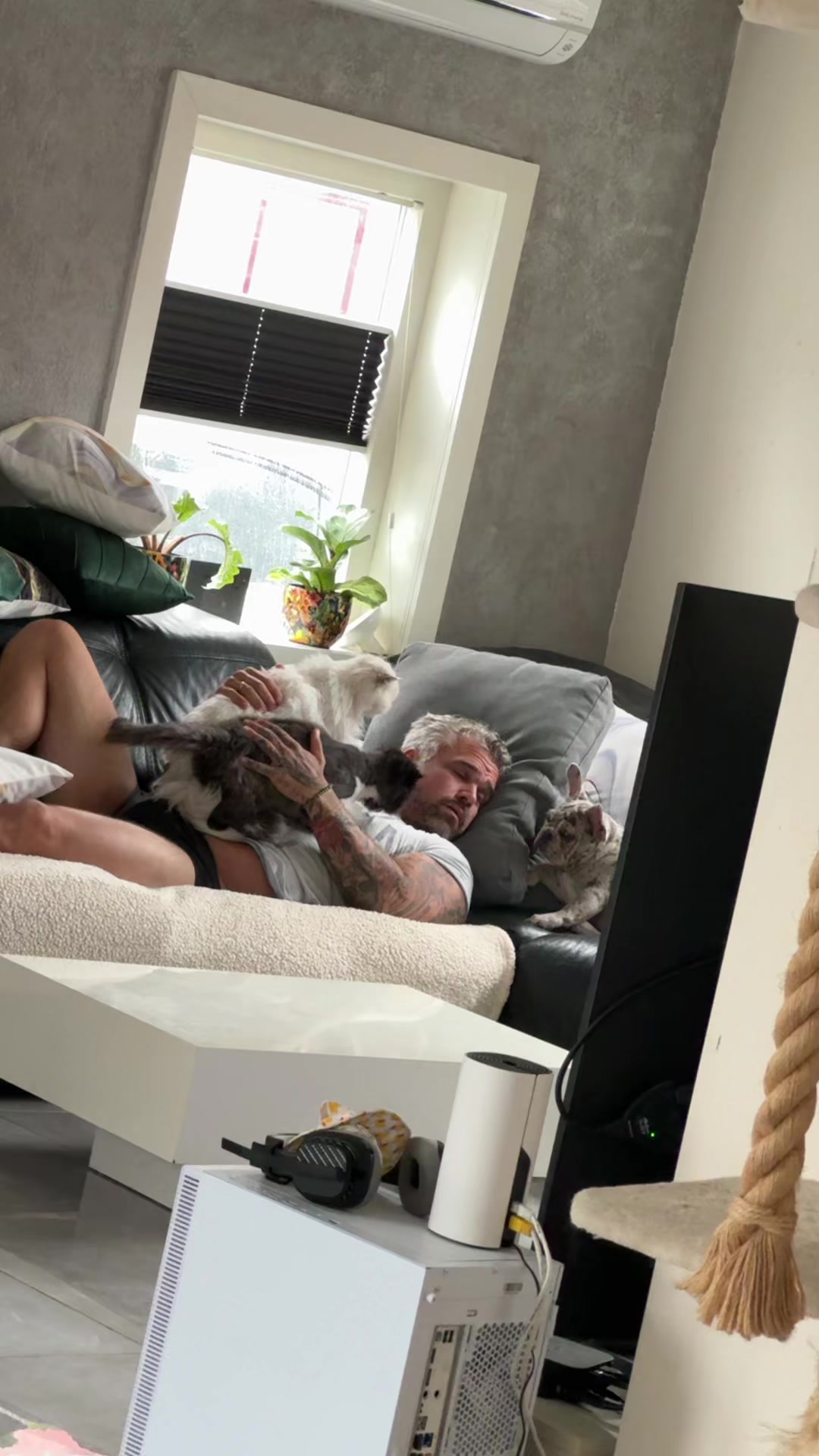 @Alejandra en Netherlands 🇳🇱