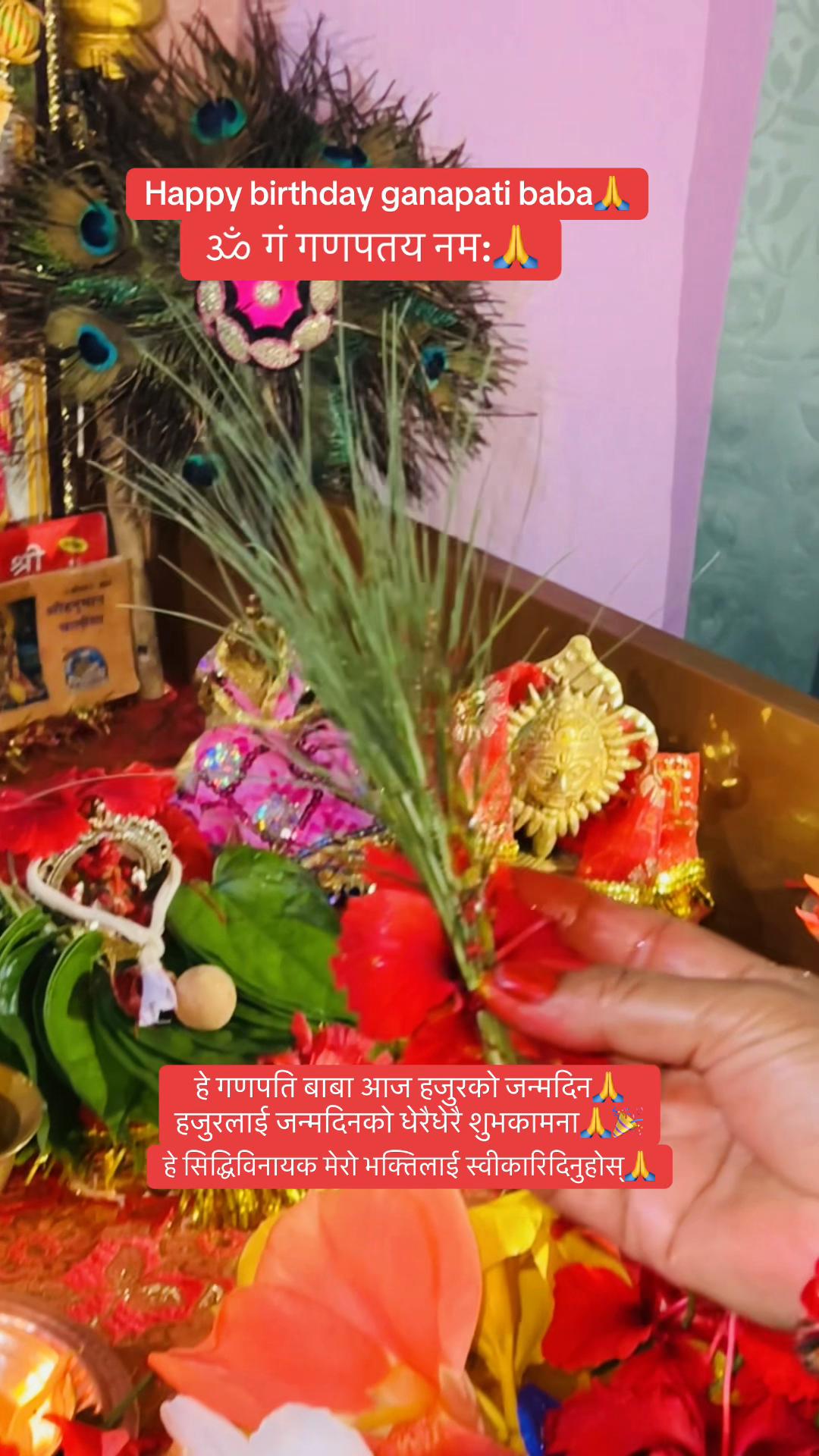 @Sumeena Joshi