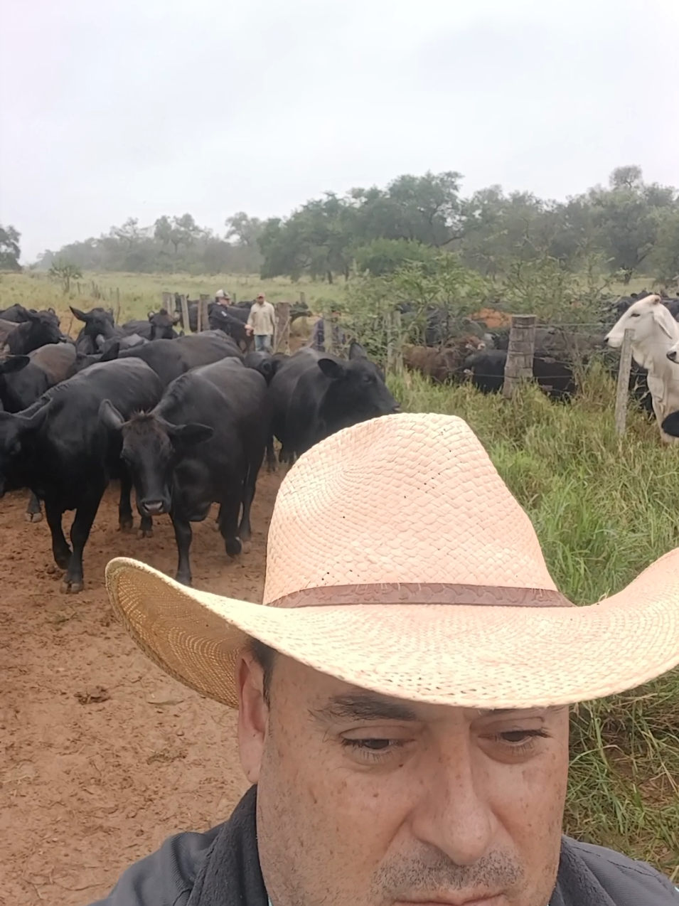 @Carlos Landivar