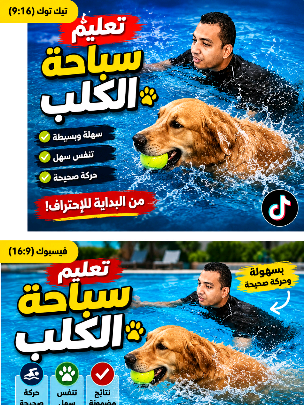 @Mr Fit Hamada Algendy