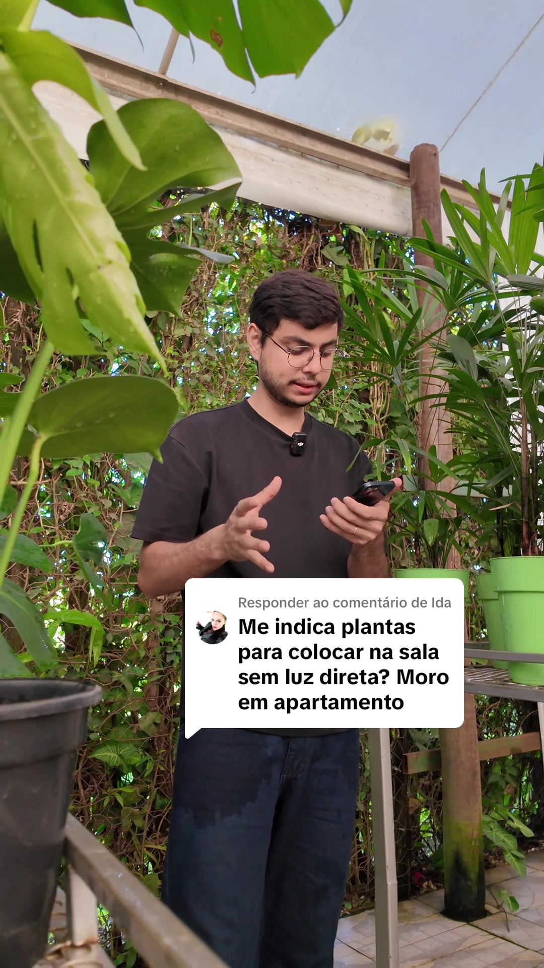 @ViveiroPauBrasil