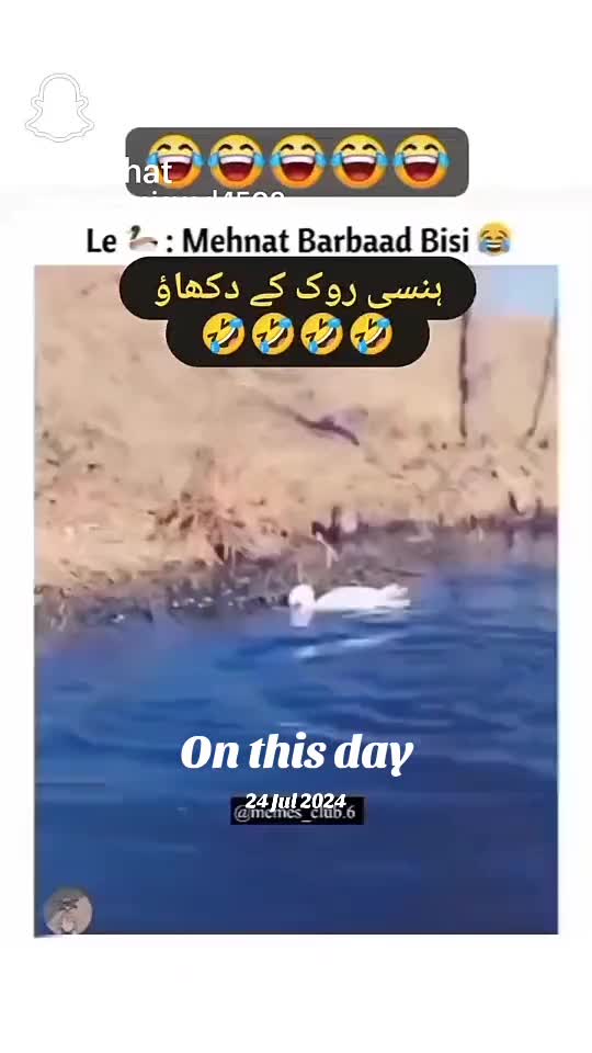 @AliRaza313