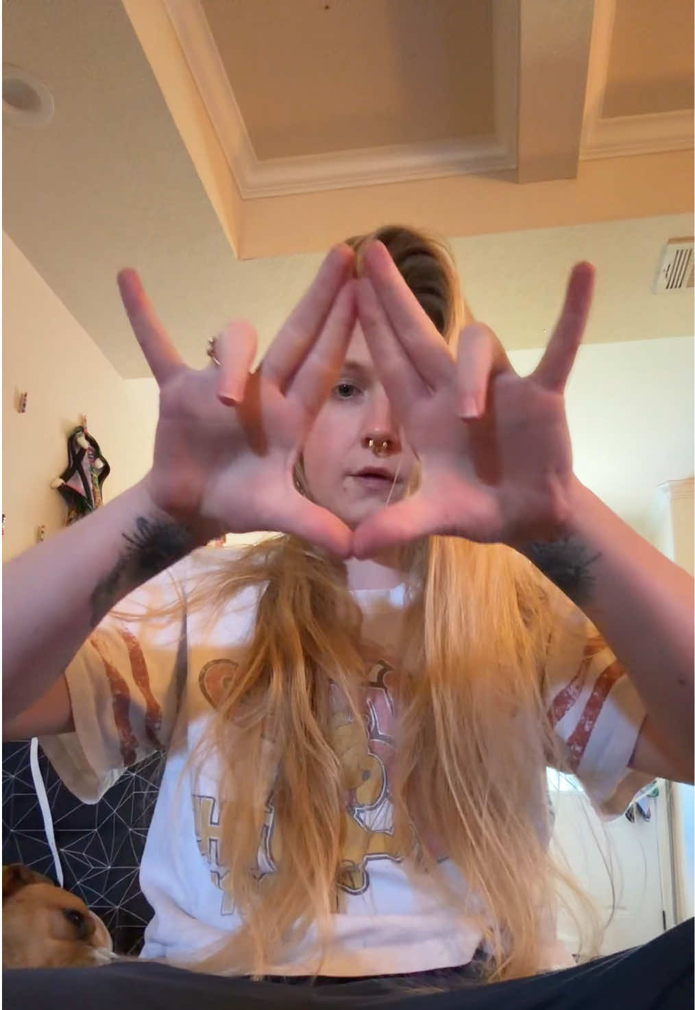 @saintdumpling