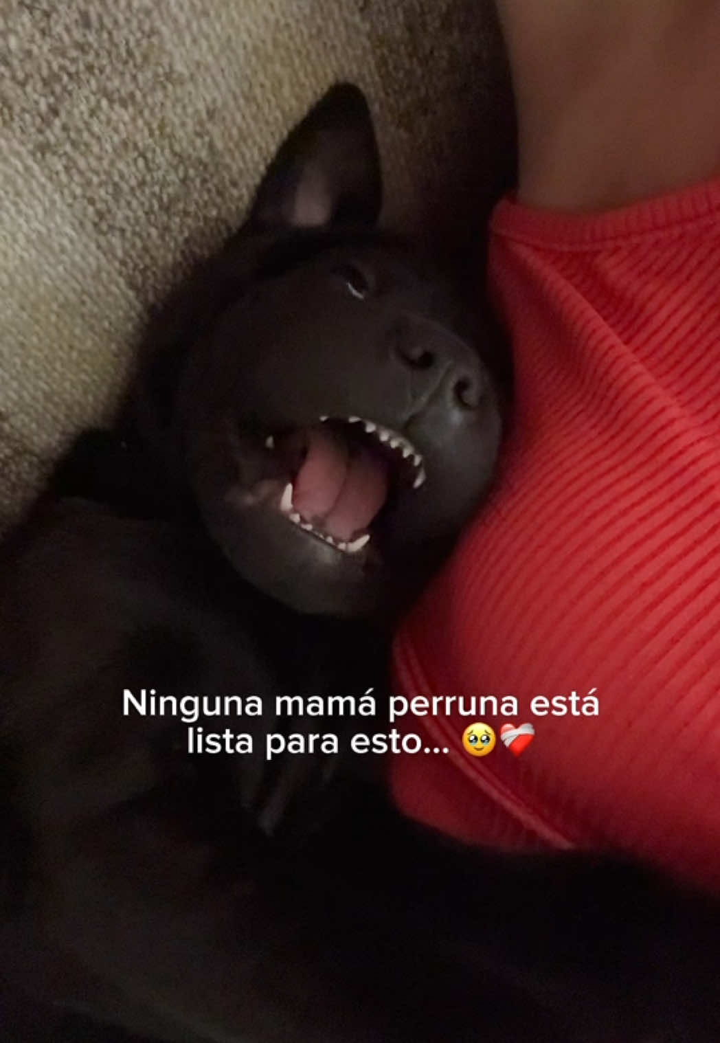 @cami.sala8