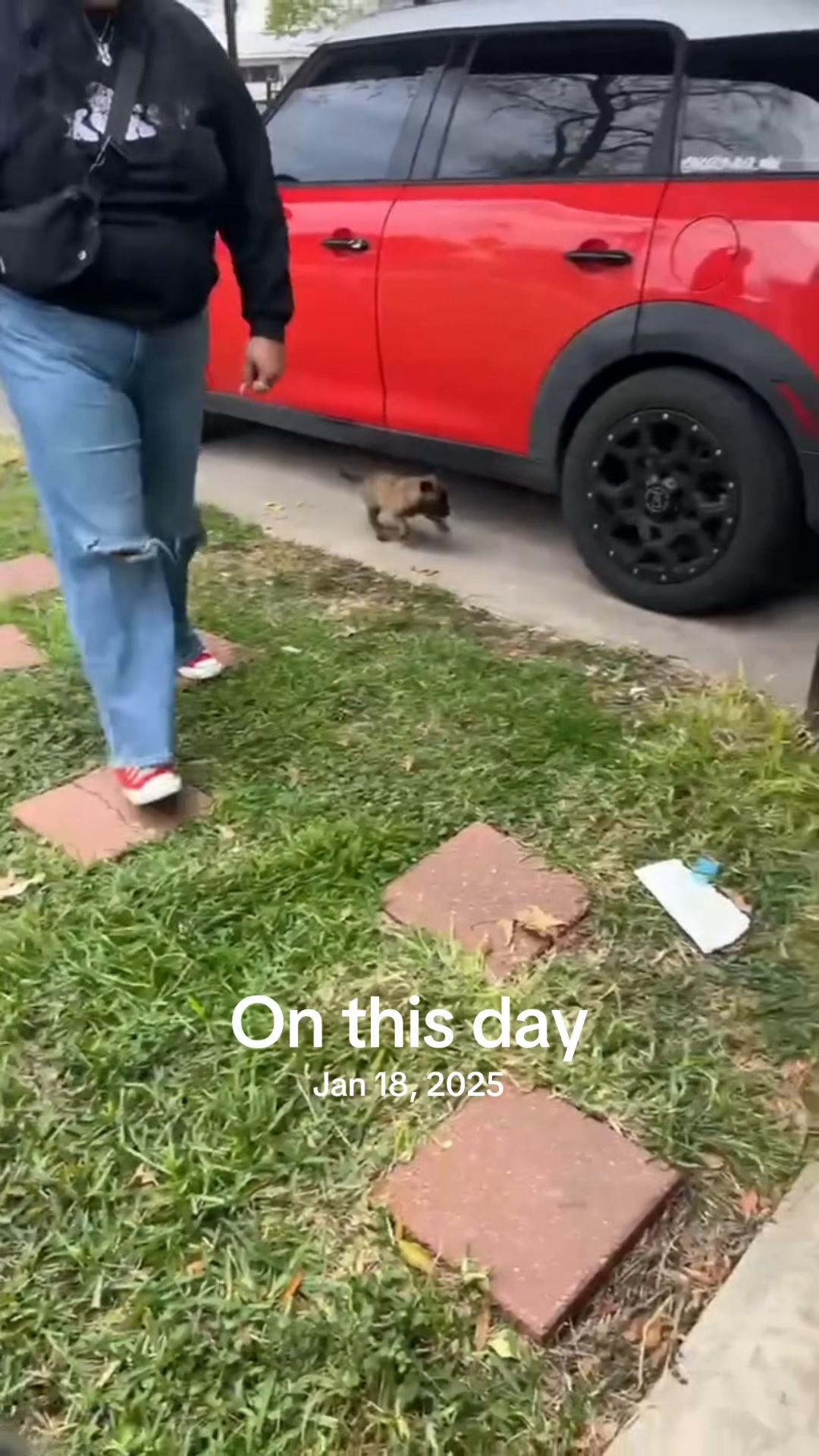@lifeafter_loss