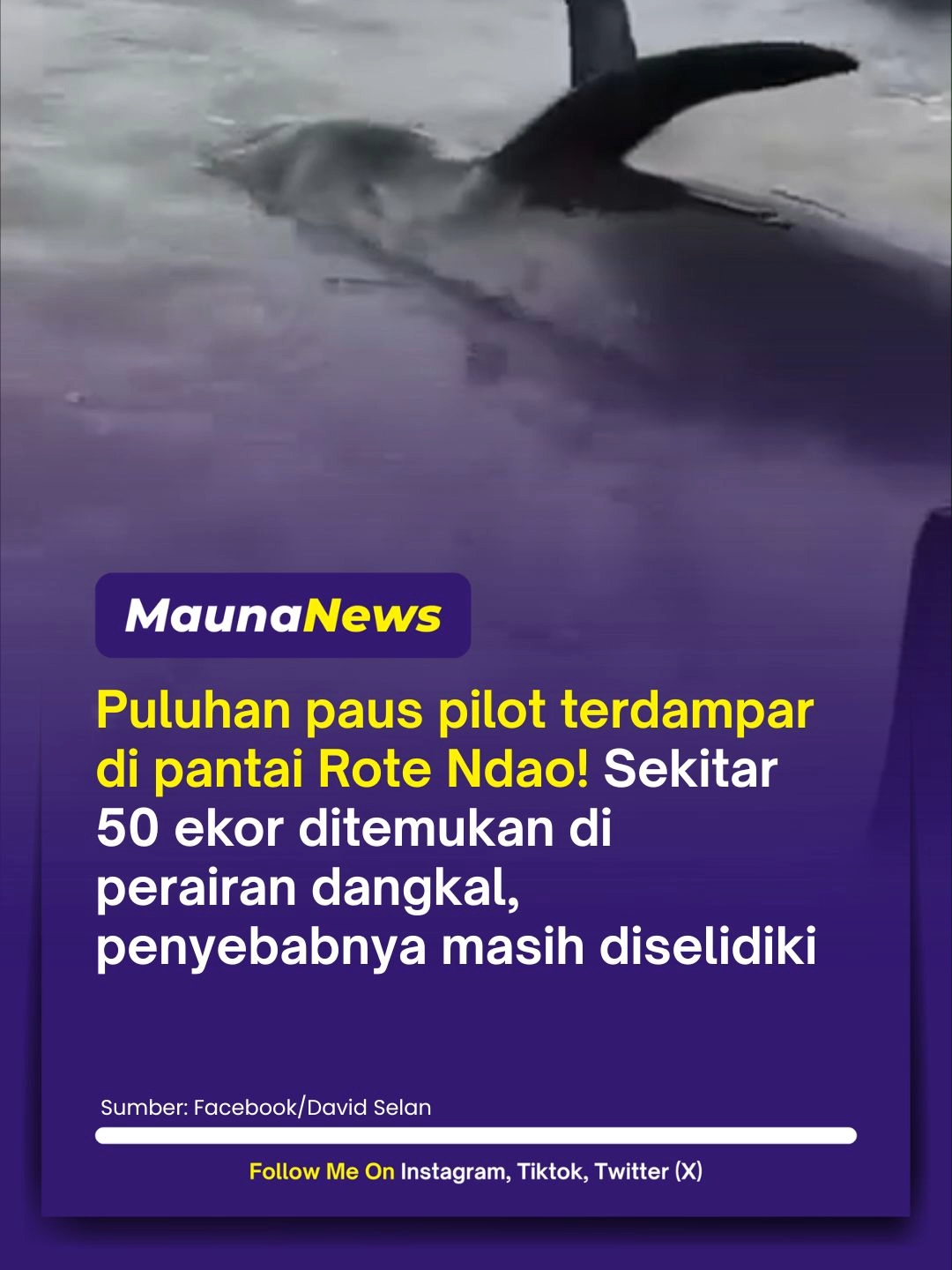 @MaunaNews