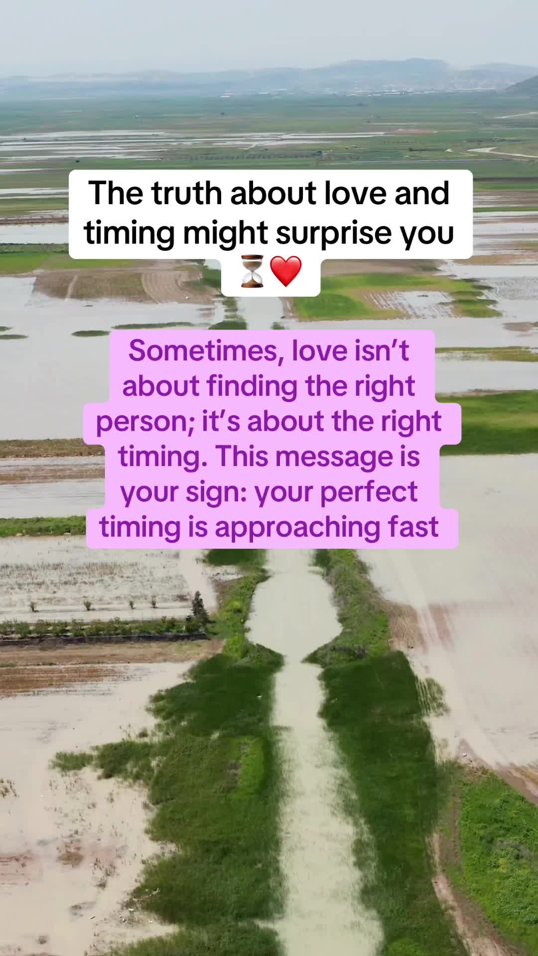 @BrightPathTarot