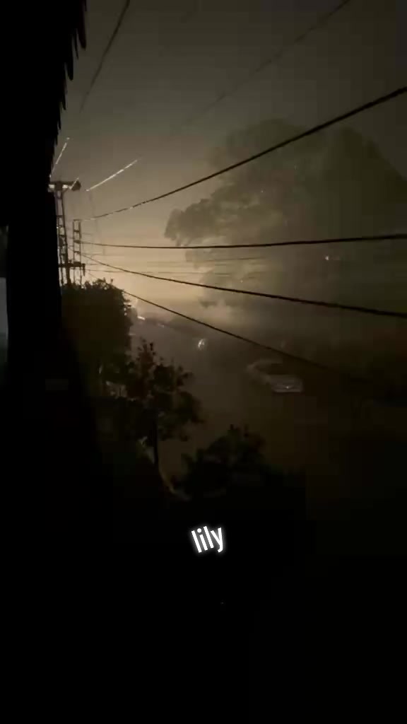 @lilylily4444