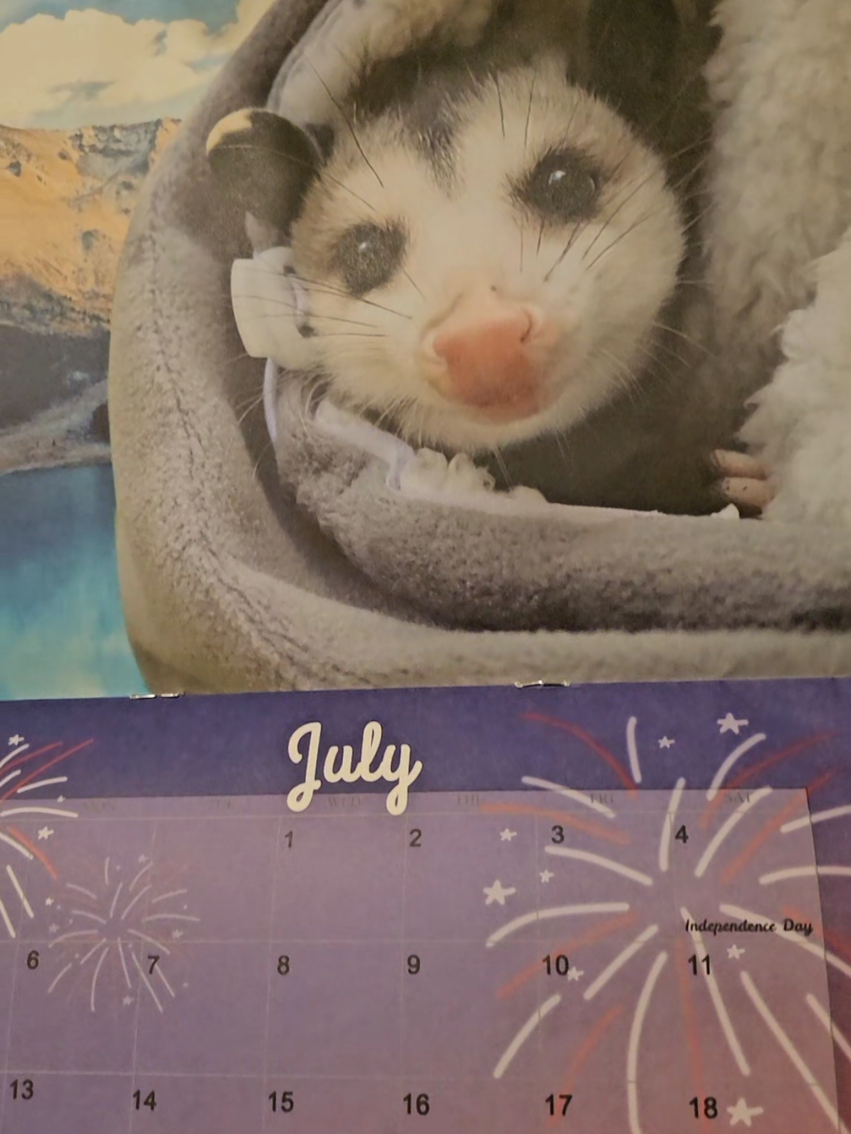 @OPOSSUMDAWGMOM