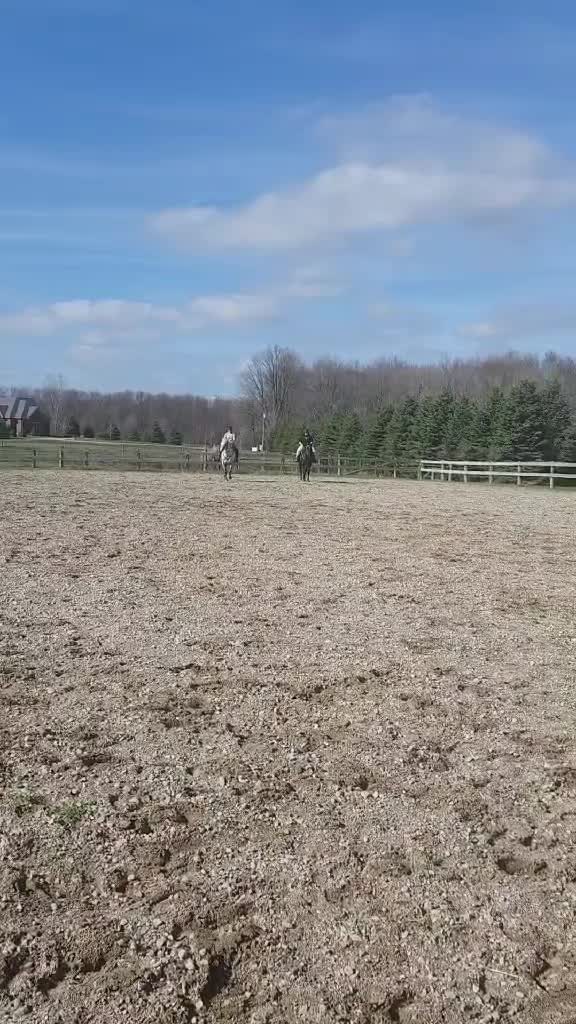 @Tiana 👩🏽&zwj;🌾🐴