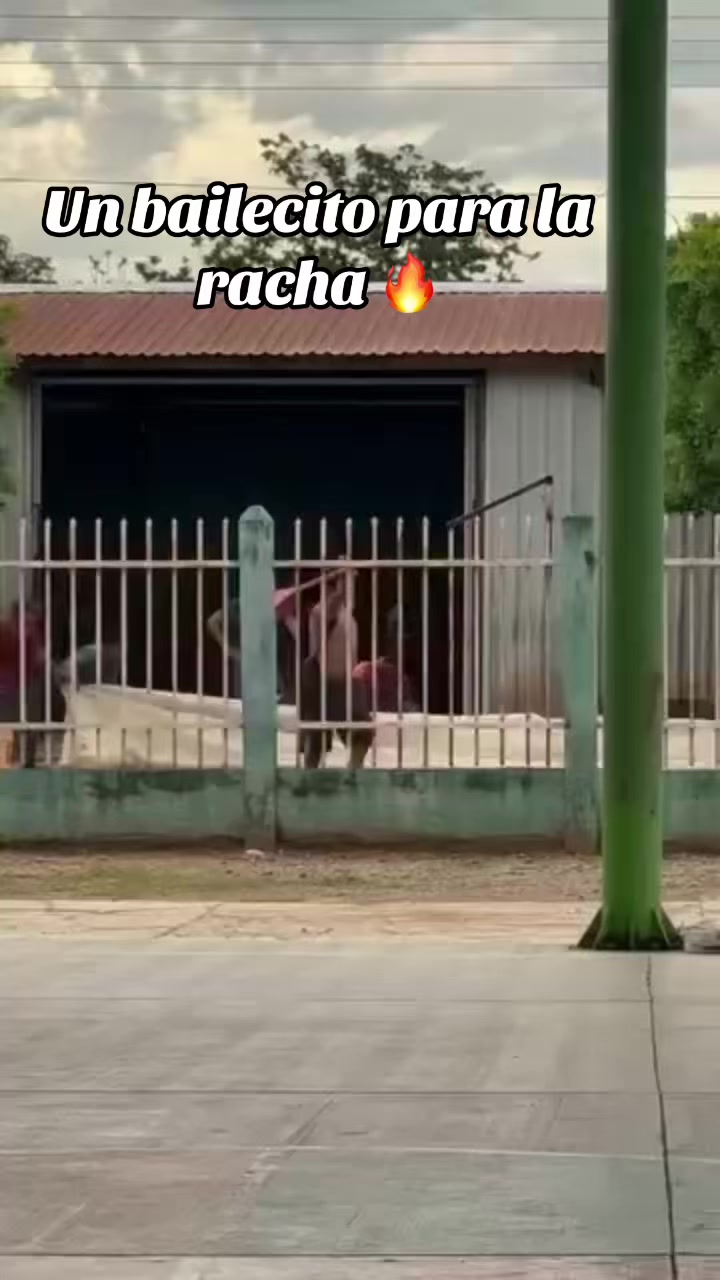 @๐ข๐ญ๐ฌ_๐ฑ๐ข๐ฆ๐๐ง๐
