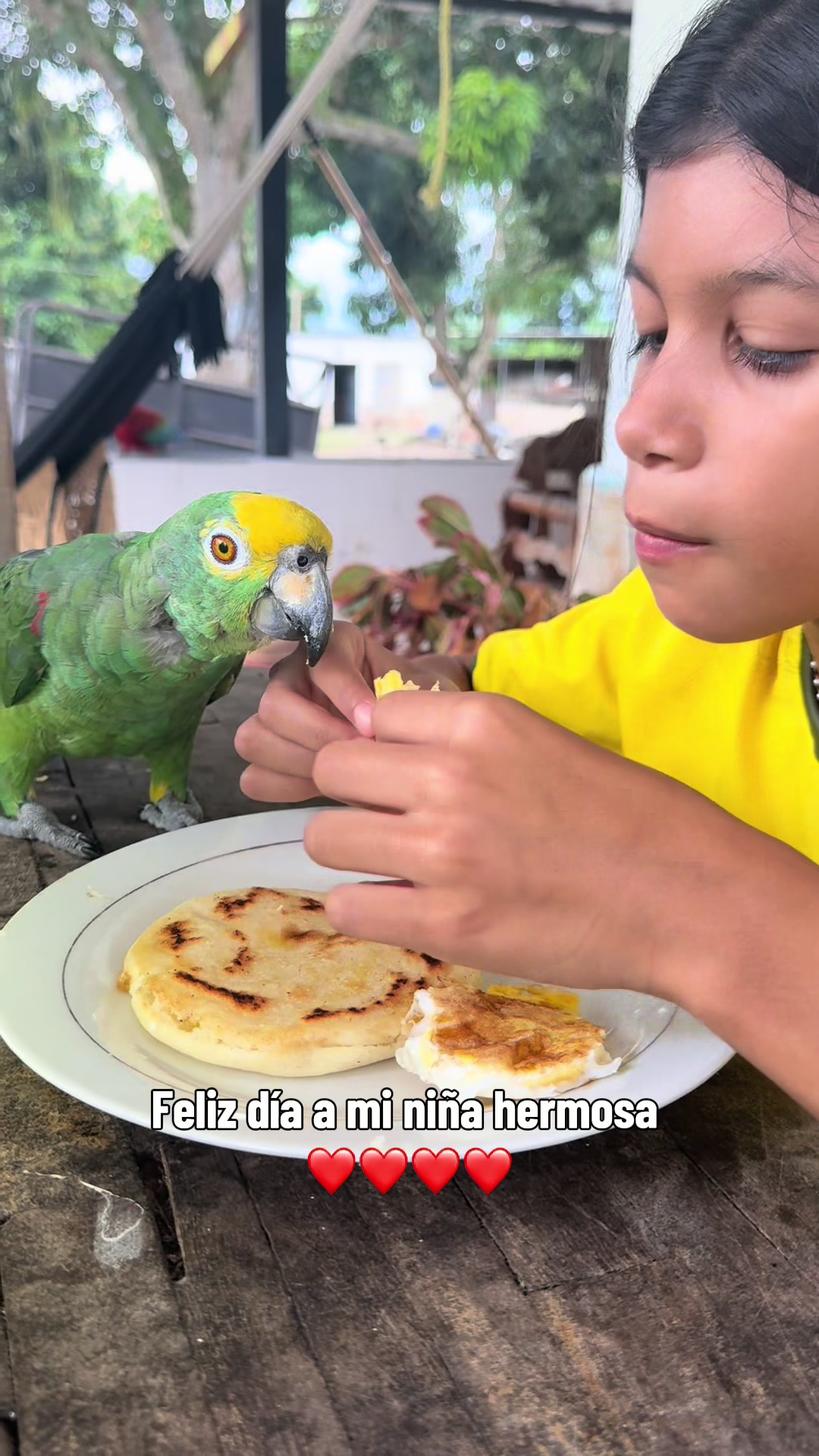 @Granjamascotalandiayaracuy