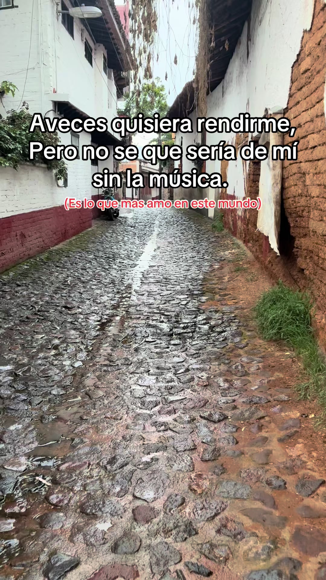 @Maestro_Tuba1