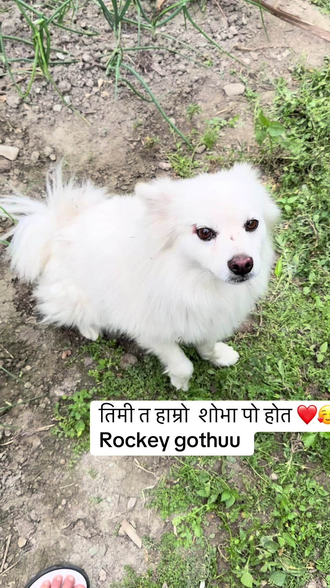 @susmikunwar