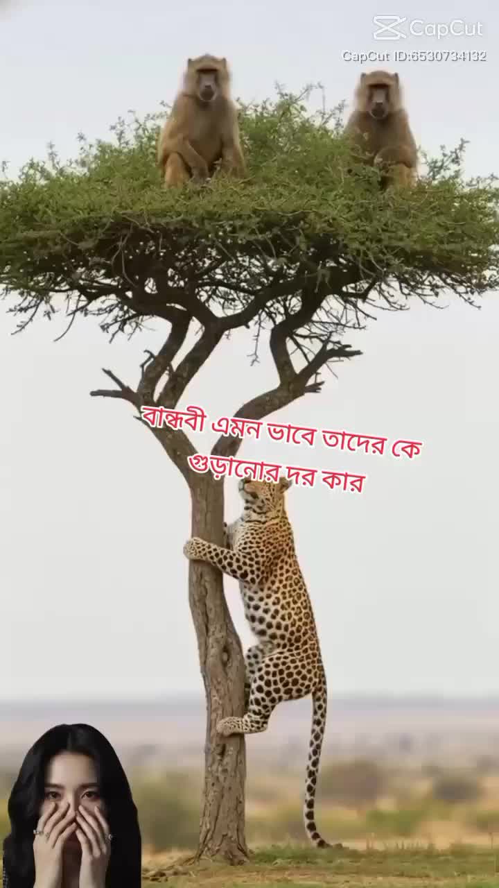 @đĨ°āĻāĻžāĻŽāĻžāĻāϝāĻŧā§āϰ āĻāĻĻāϰā§āϰ āĻŦāĻâ¤ī¸({ B+W})