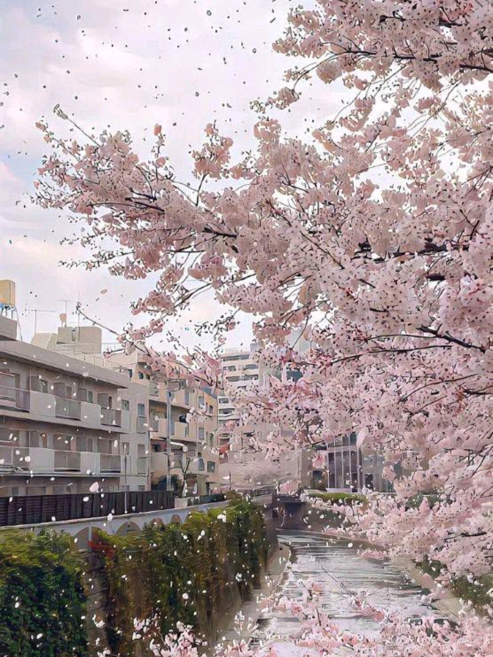 @Ş𝙚𝙮𝙢𝙖🇹🇷