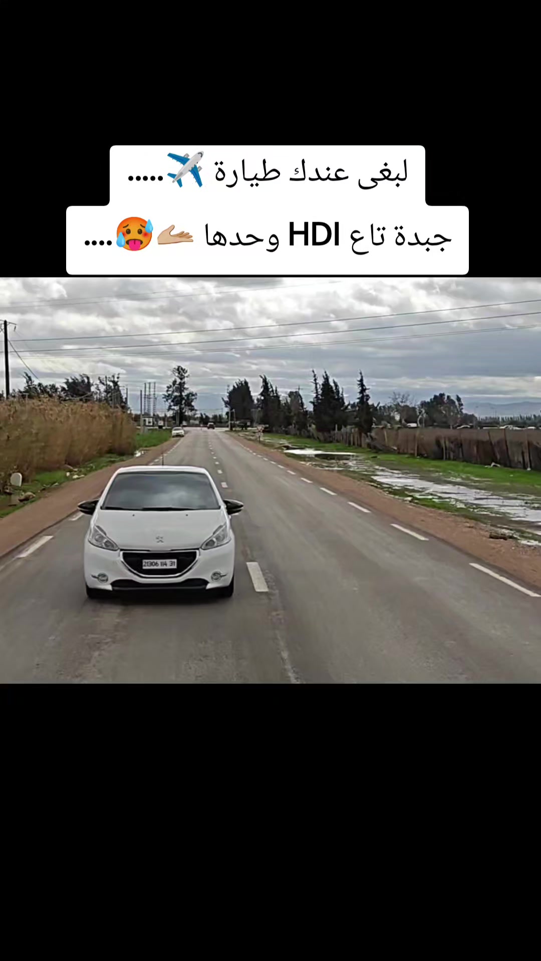 @Hmida Atou 208