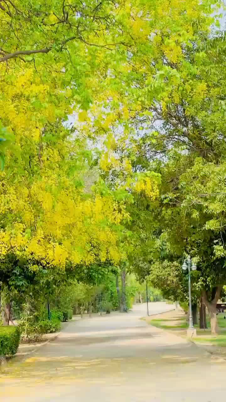 @shrarti patola
