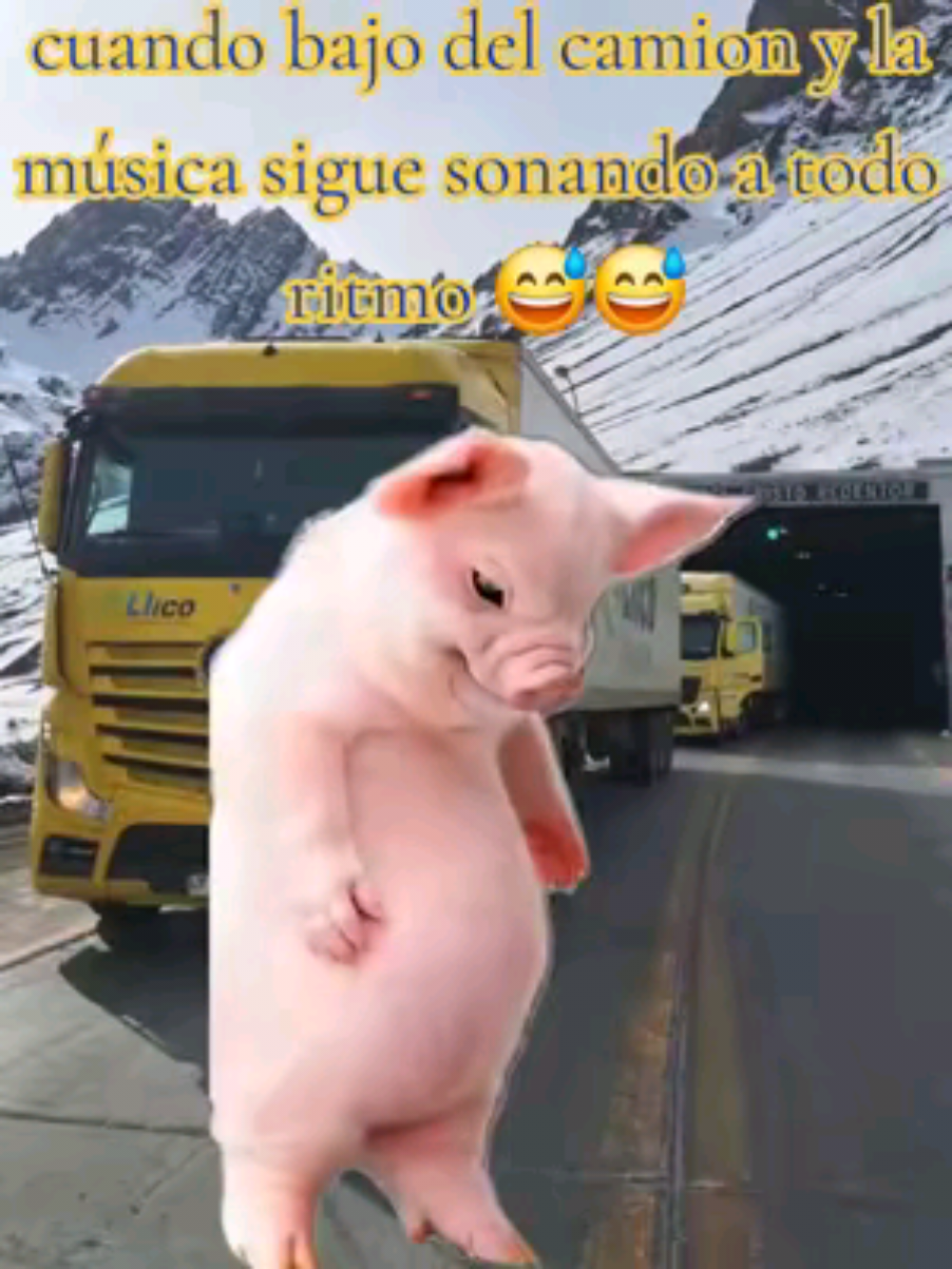 @jorge