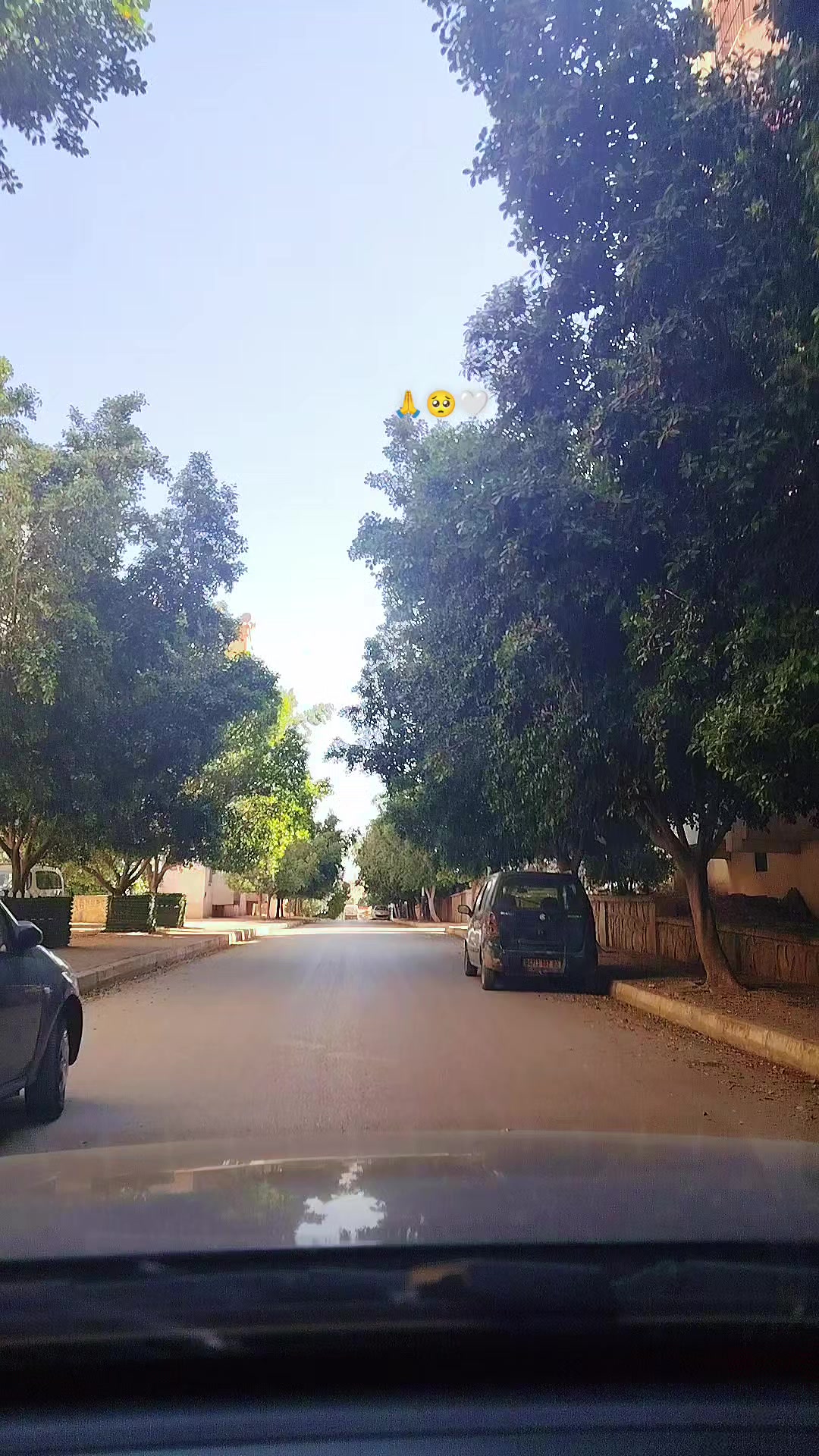 @Dr HASSOUN02 طبيبة الاسنان شلف