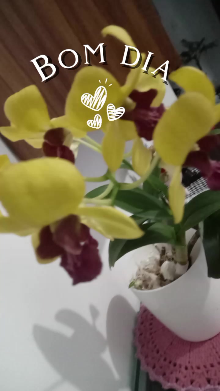 @Débora Batista101