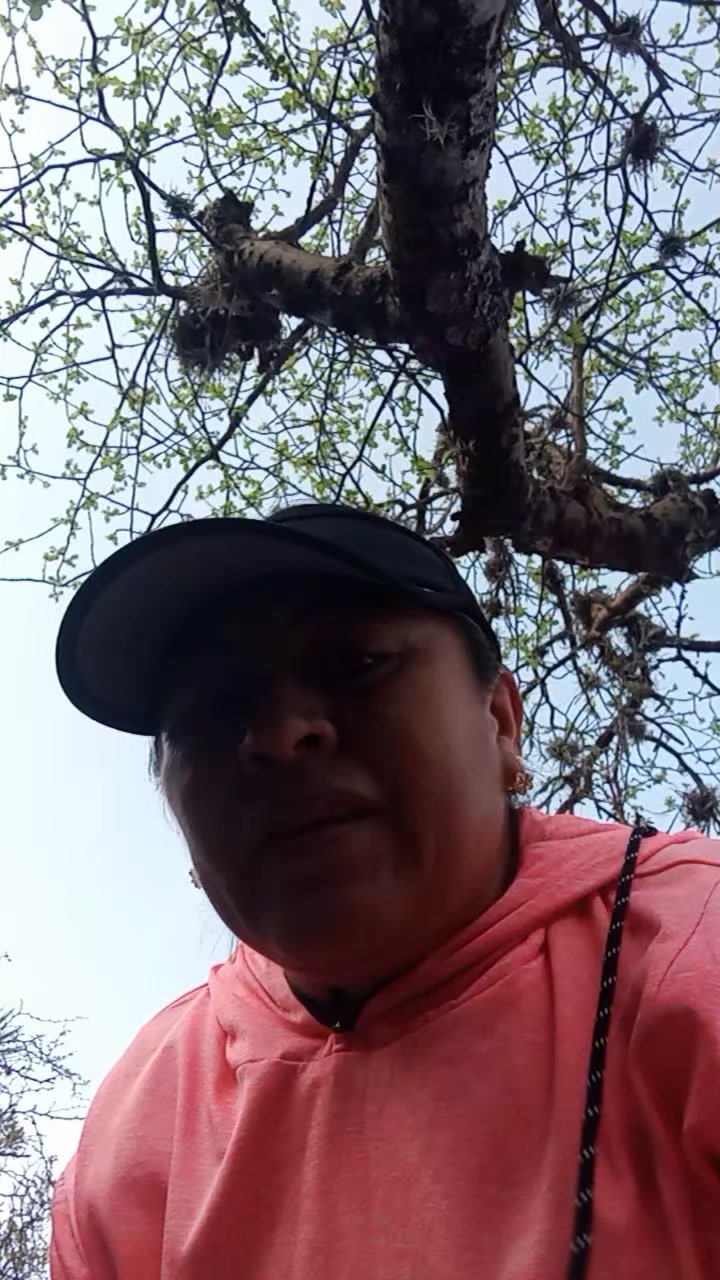@Fabiss
