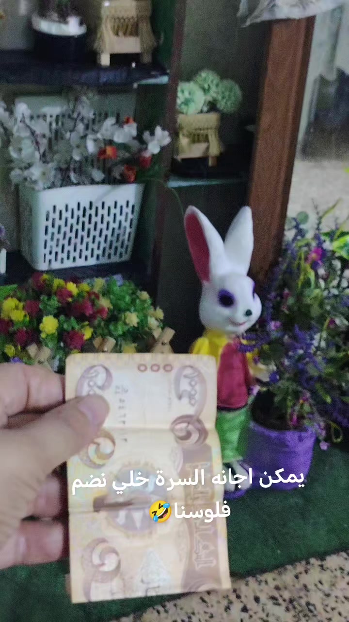 @سولاف امين الكربولي