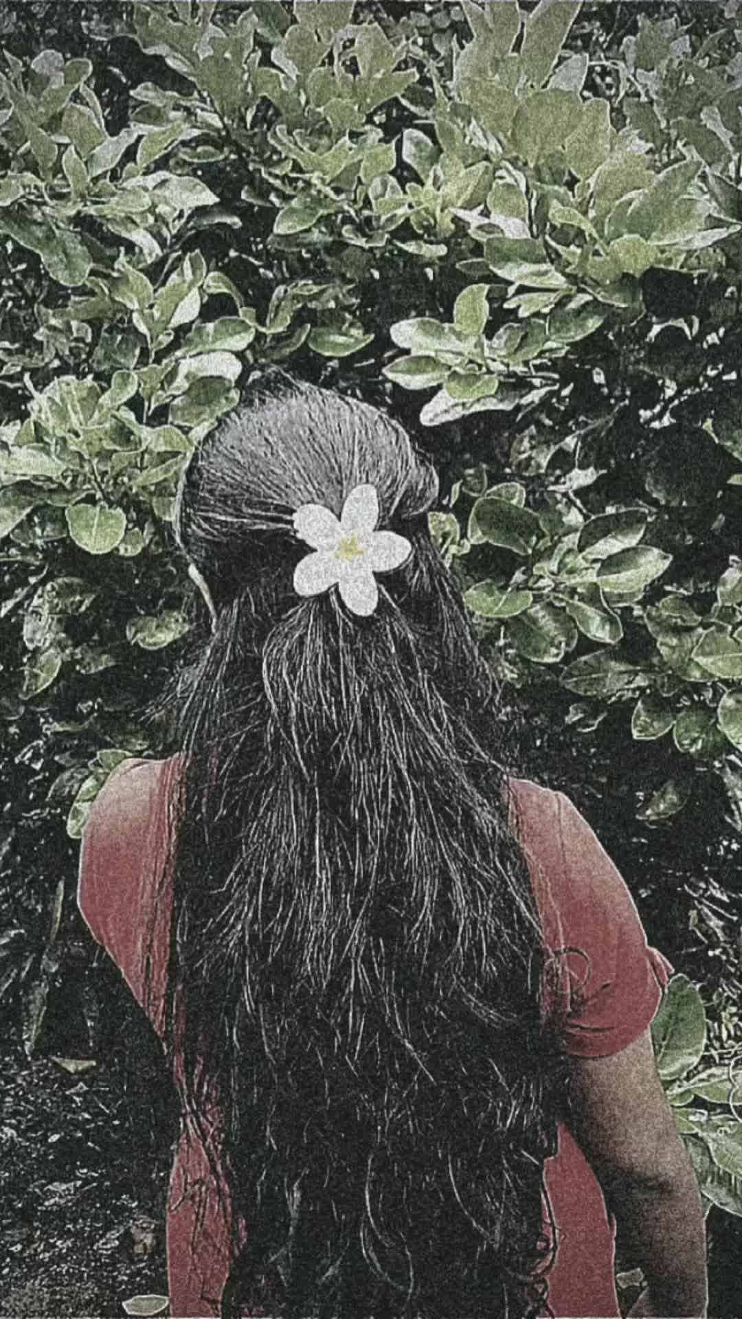 @Dhmzz❤️