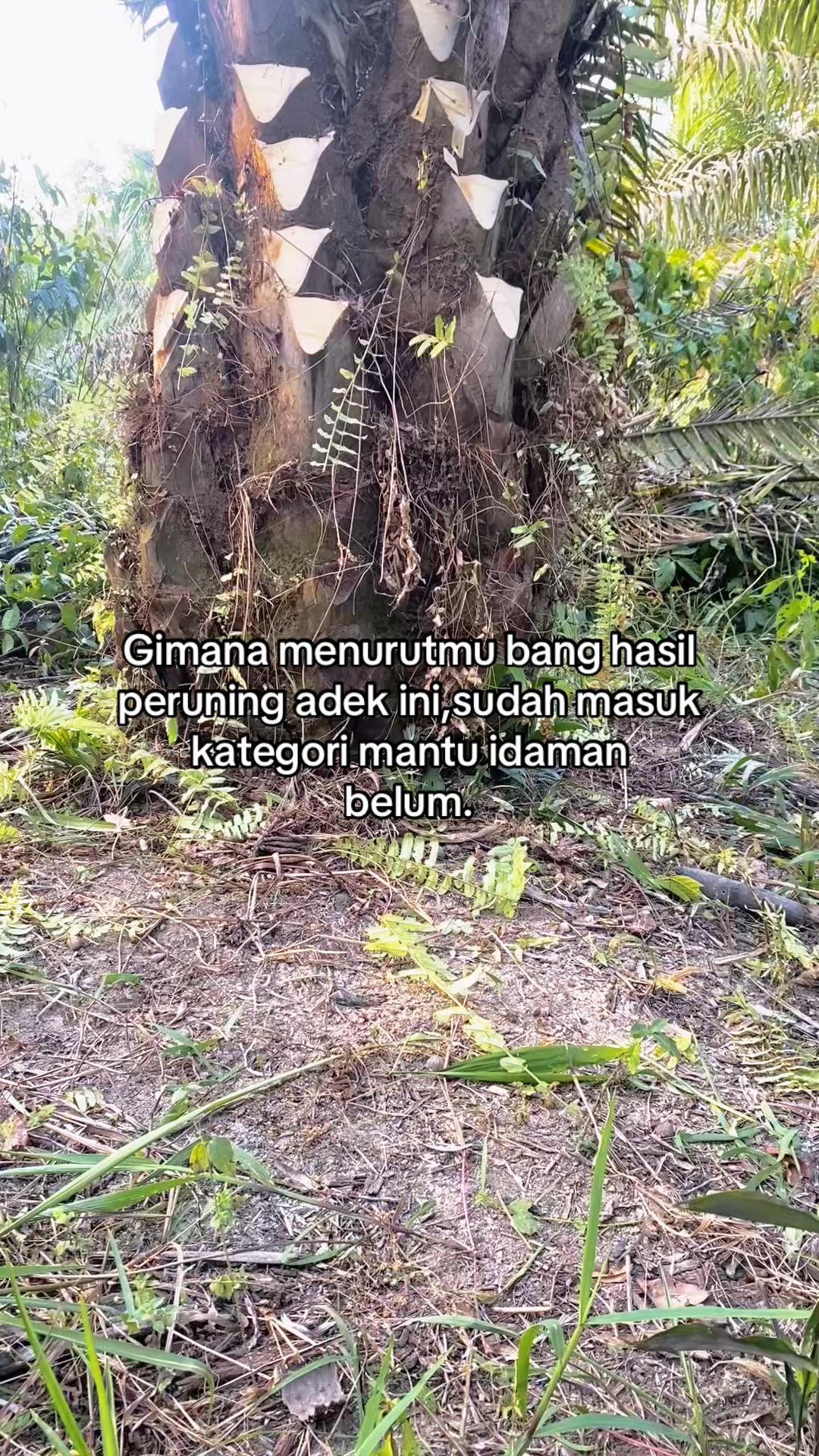 @SEMPAK KUNTILANAK 🩲
