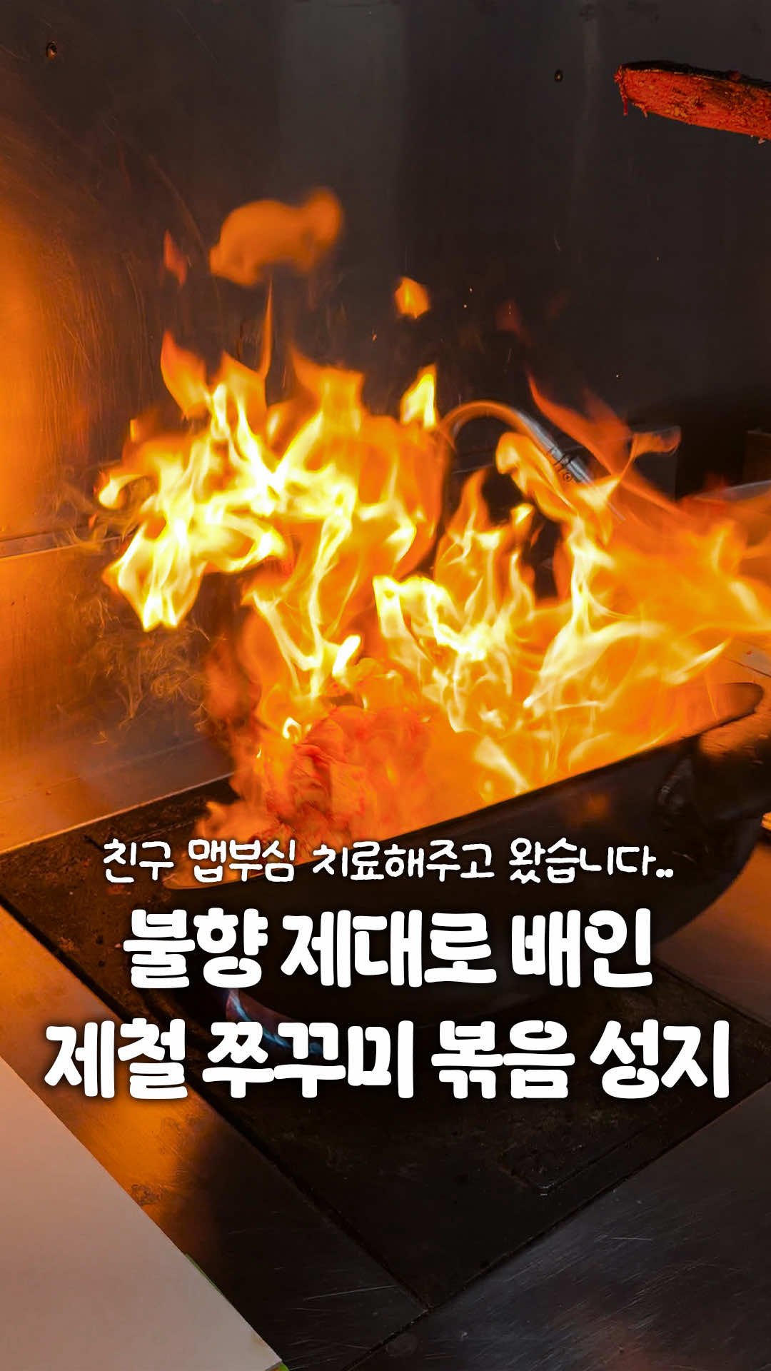 @일산갈고양