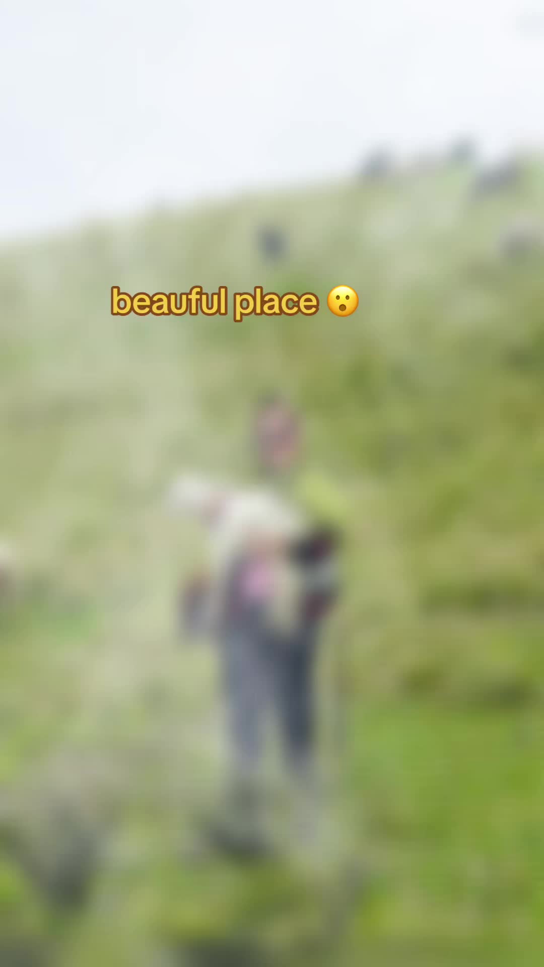 @lhamu