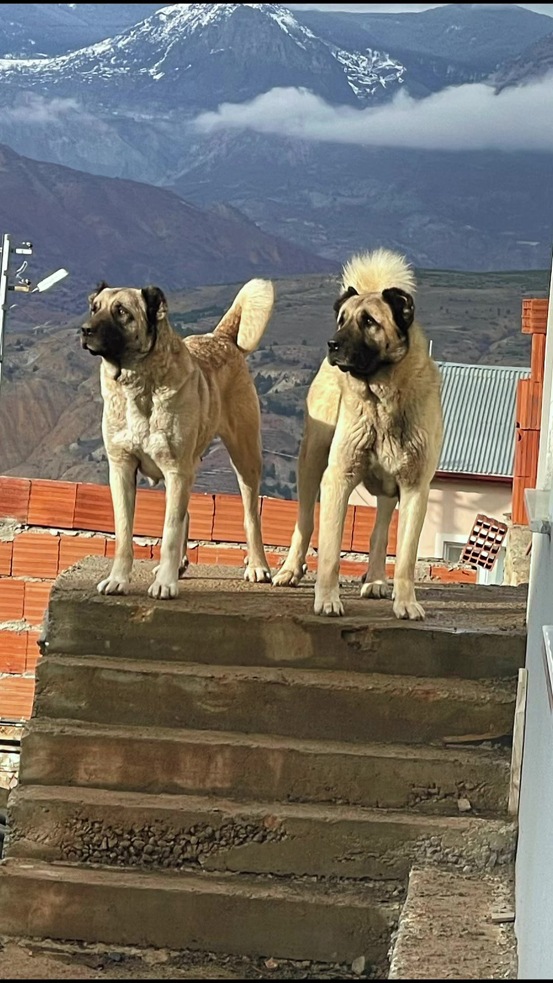 @Uğur Yetiş