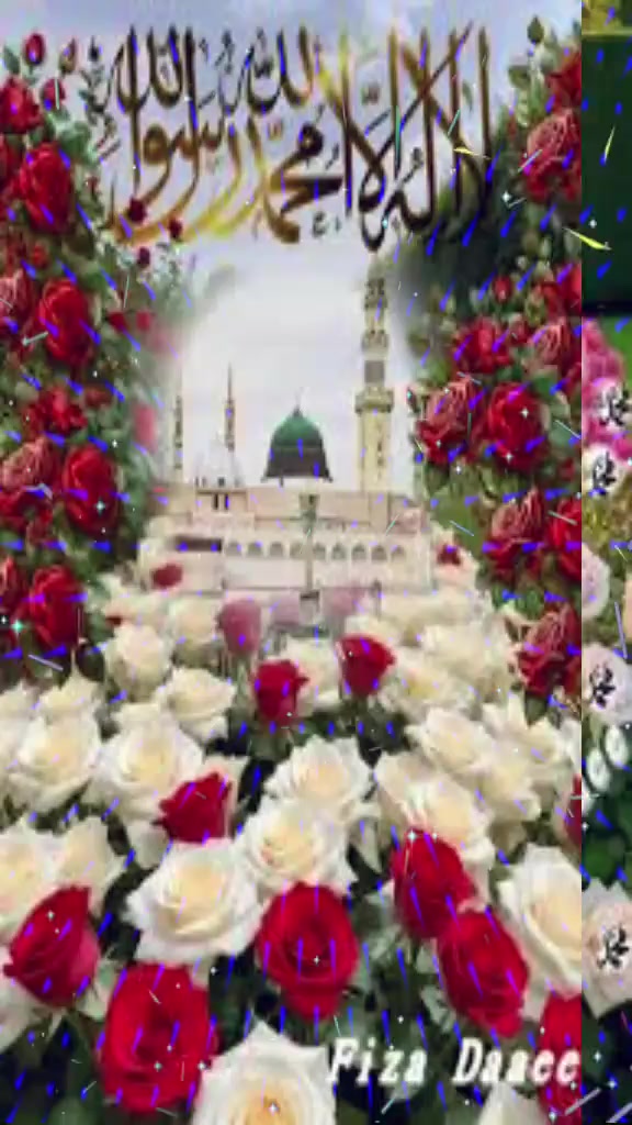@Hina Malik