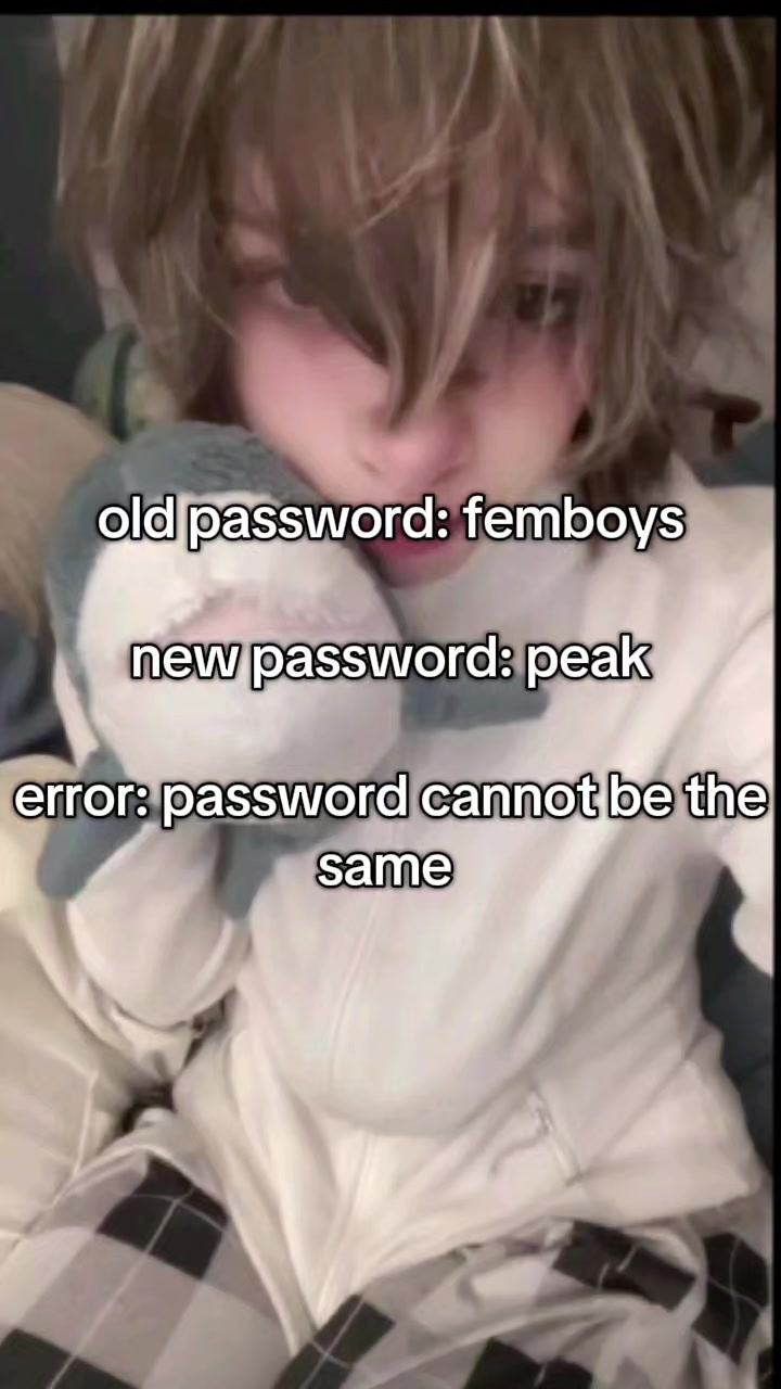 @munchkincatboy
