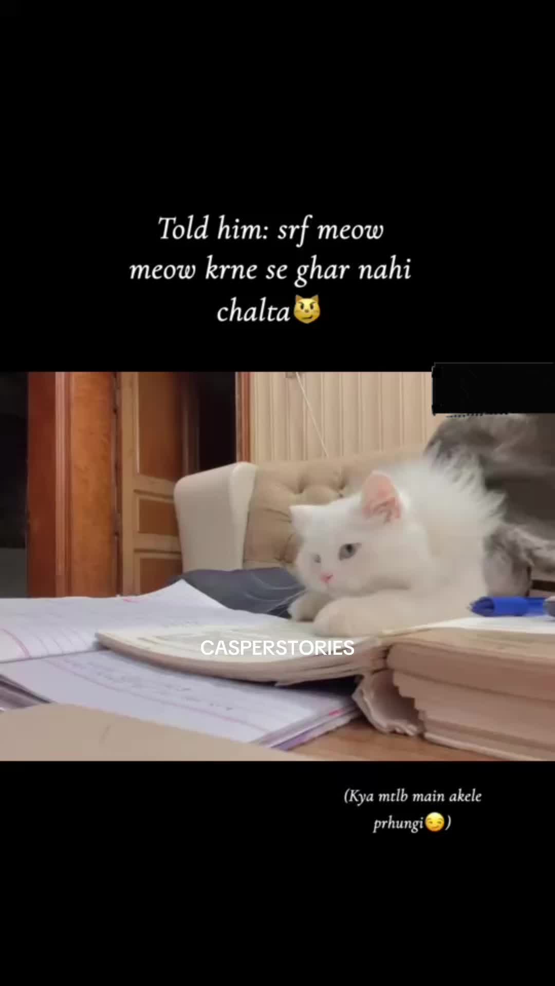 @๐ช๐๐๐๐๐ & ๐ด๐๐๐๐๐ ๐พ