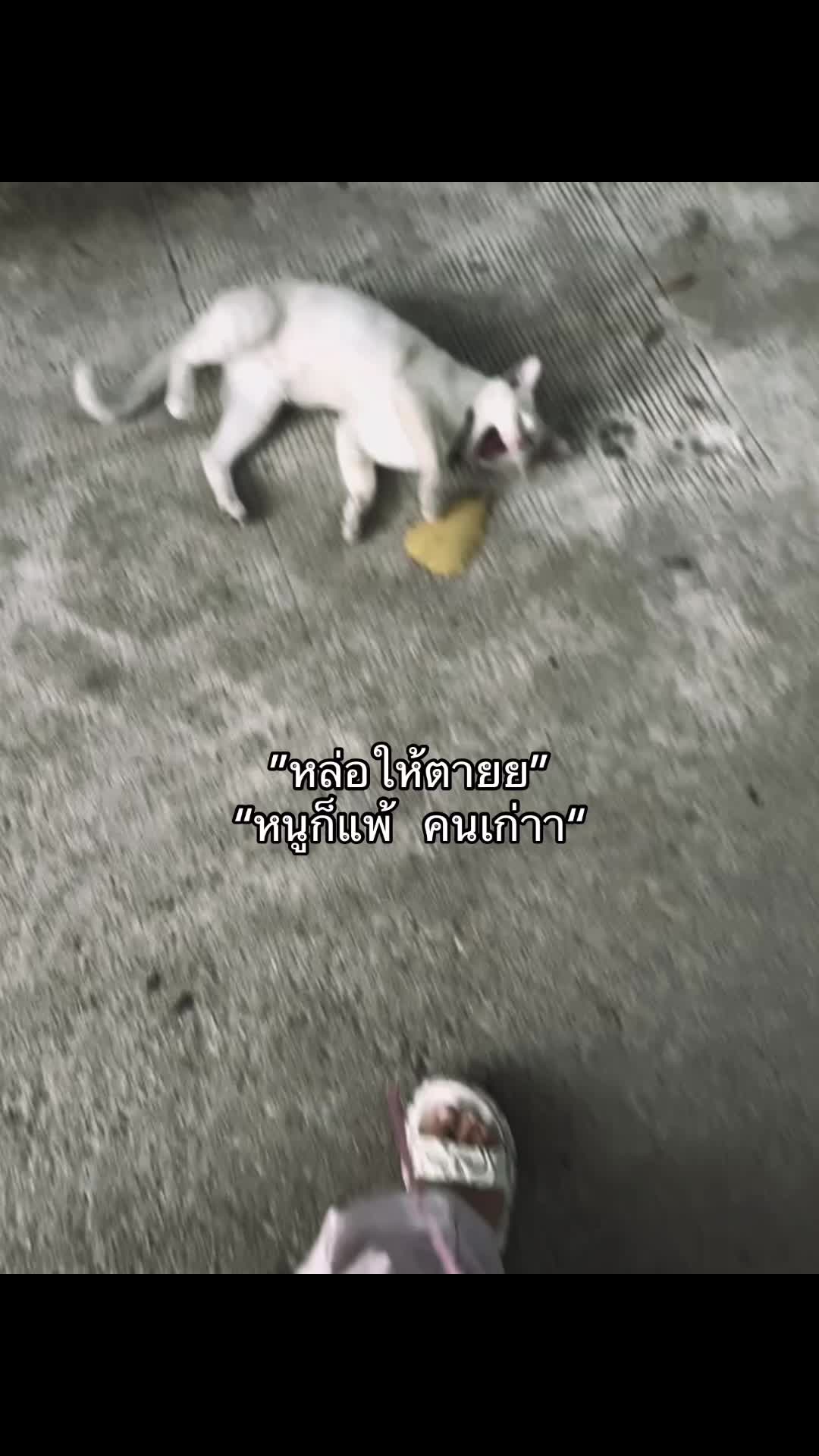 @คิดถึงคนเก่า(9,000)