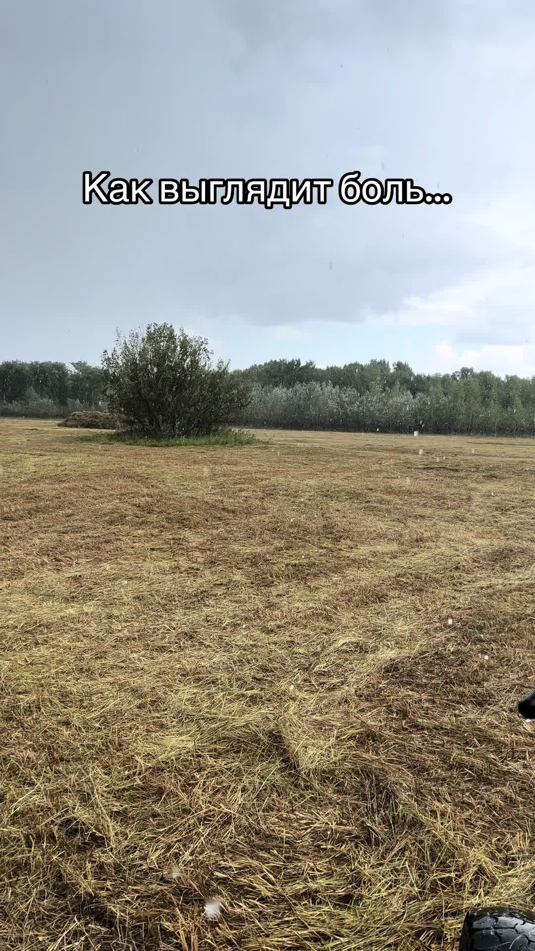 @Аня | Деревенский дневник🌿