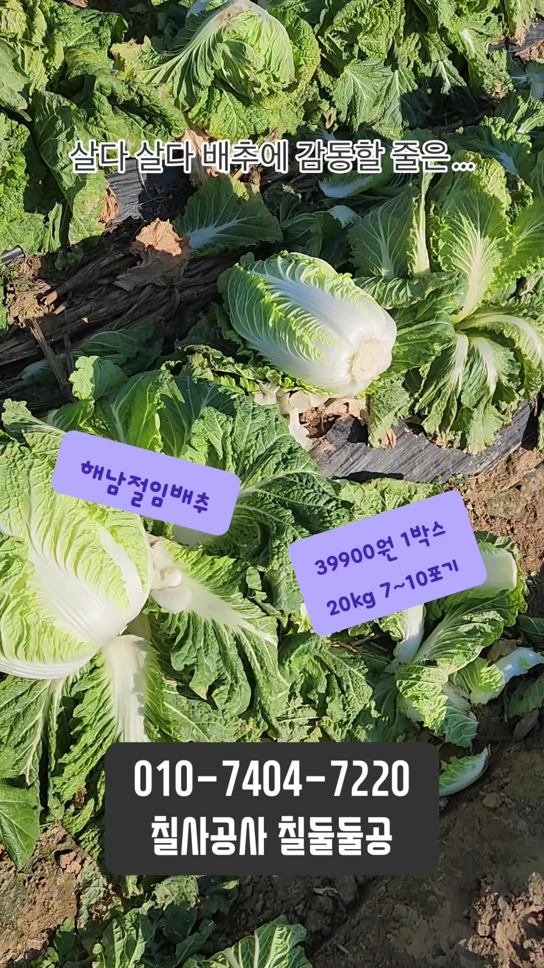 @프루트빌리지