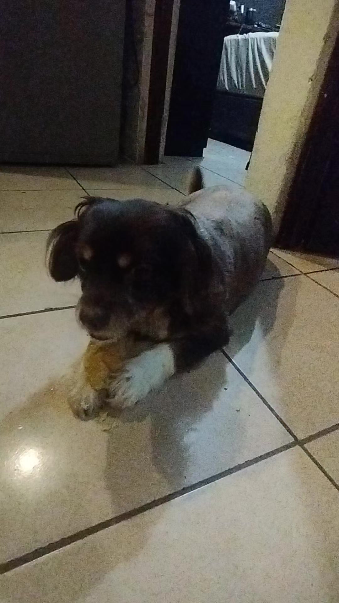@Jéssica 🇨🇷