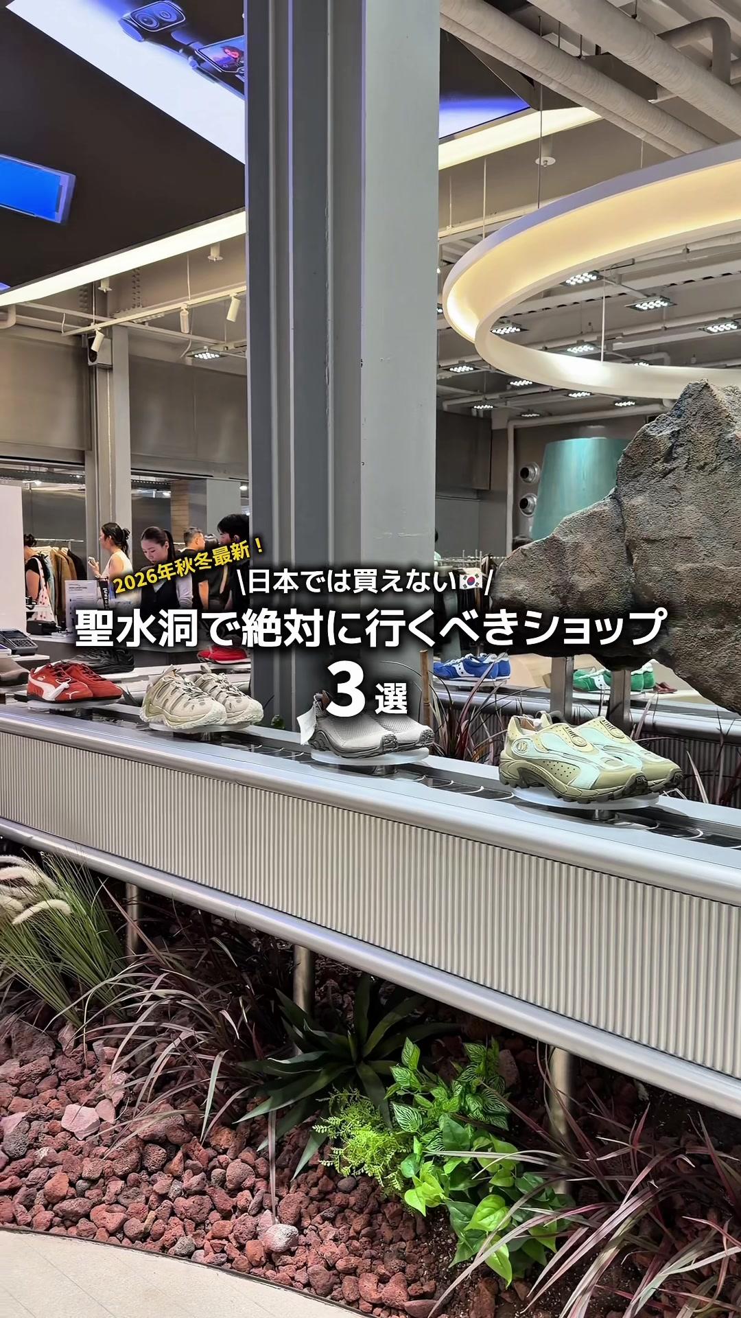 @竜聖(ダイオード)