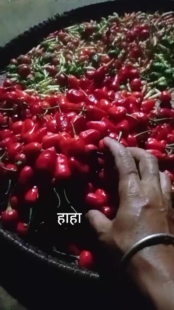 @मुस्कान तामाङ थिङ्ग